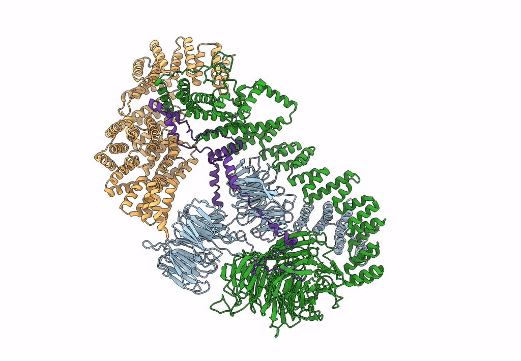 8HMC image
