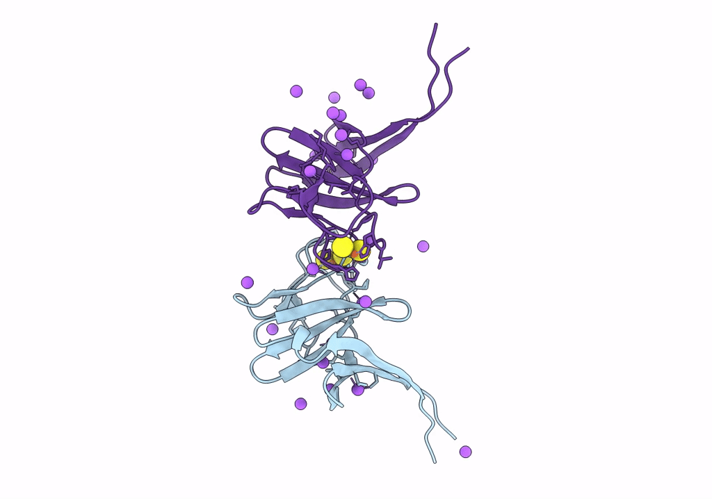 8HN2 image