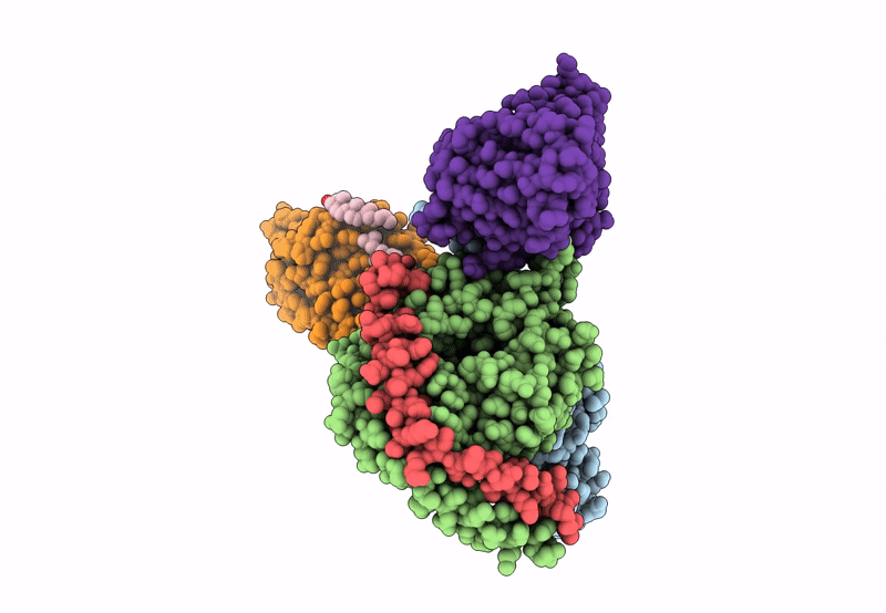 8HNL image