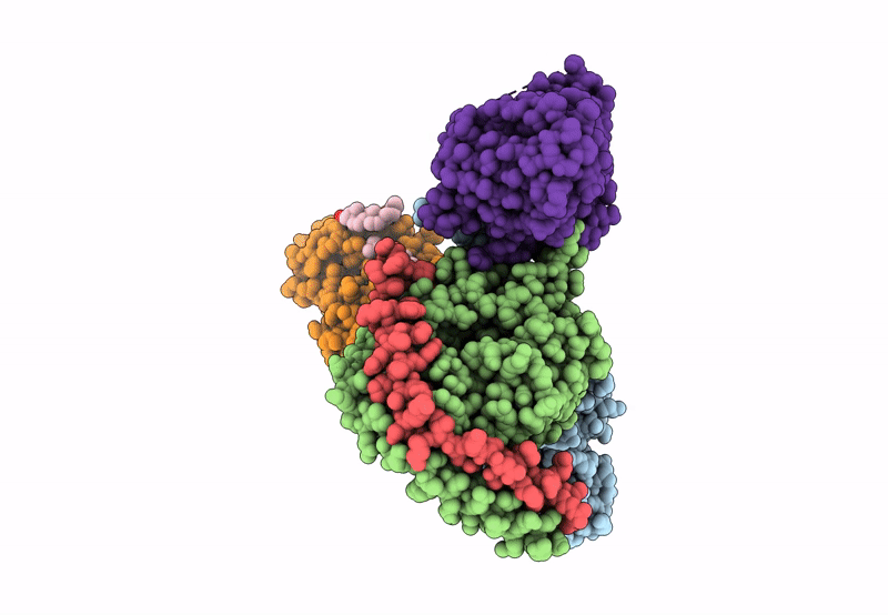 8HNM image