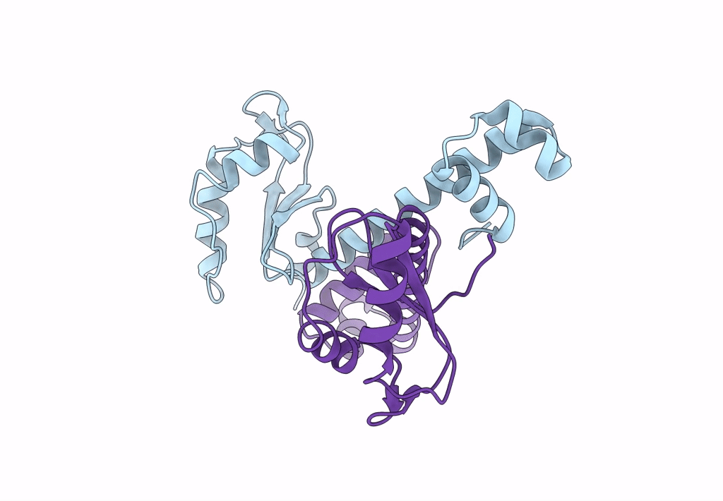 8HNP image