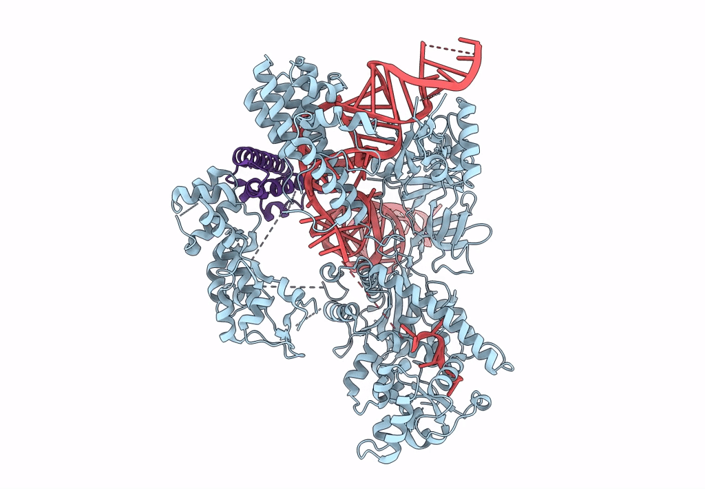 8HNT image