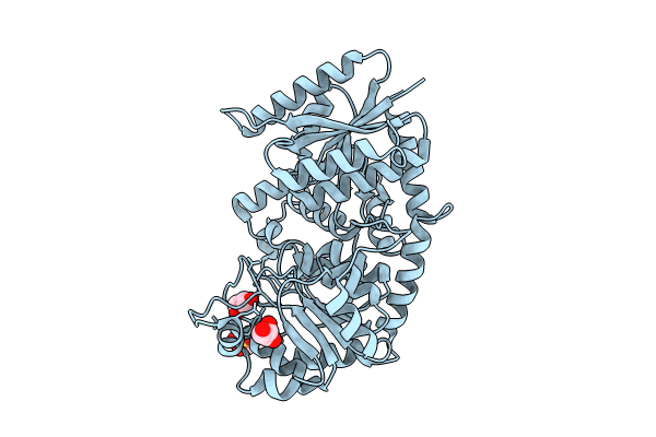 8HOK image