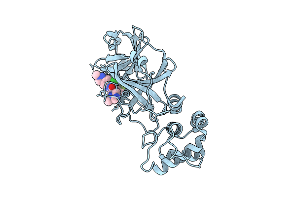 8HOM image