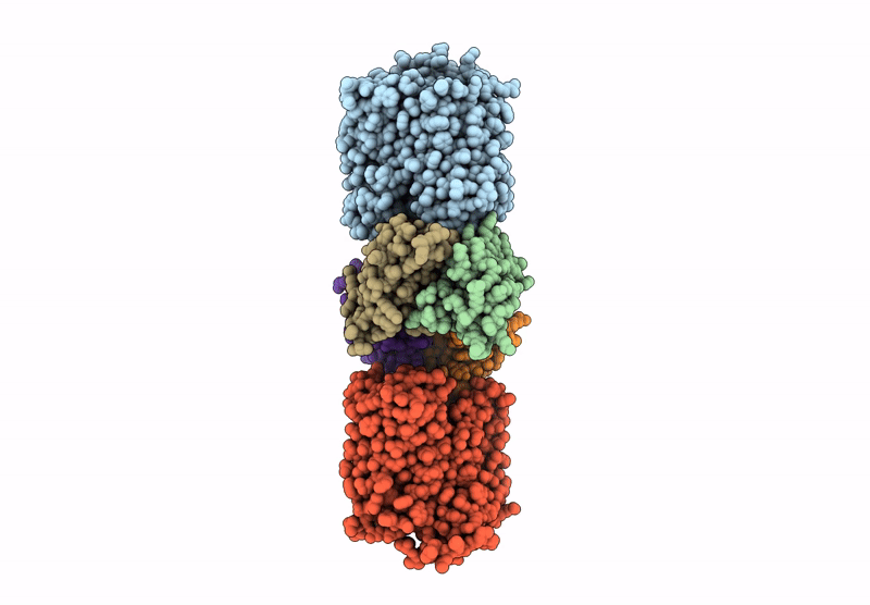 8HPJ image