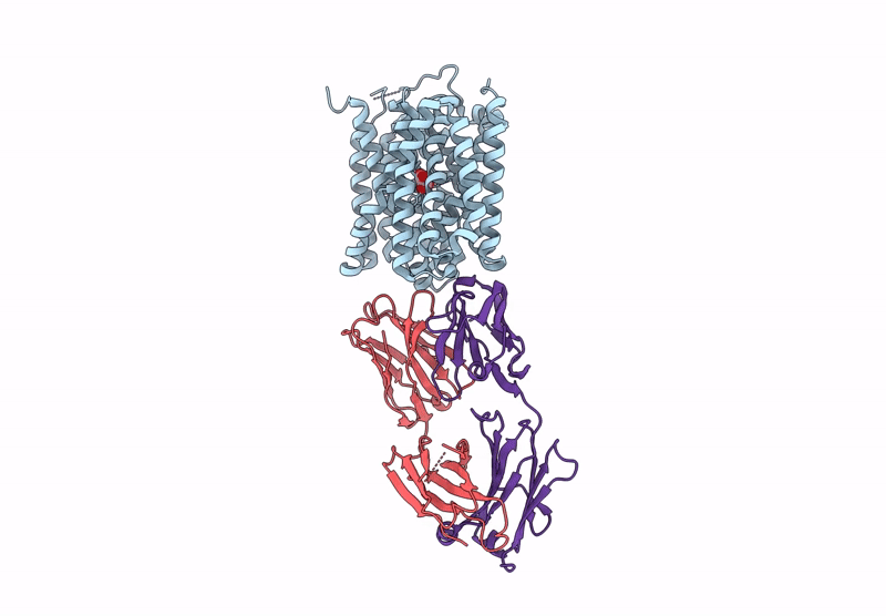 8HPK image