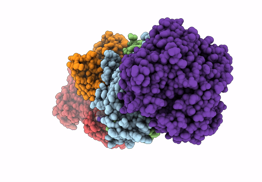 8HPN image