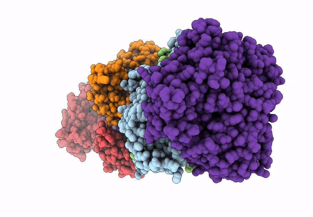 8HPS image