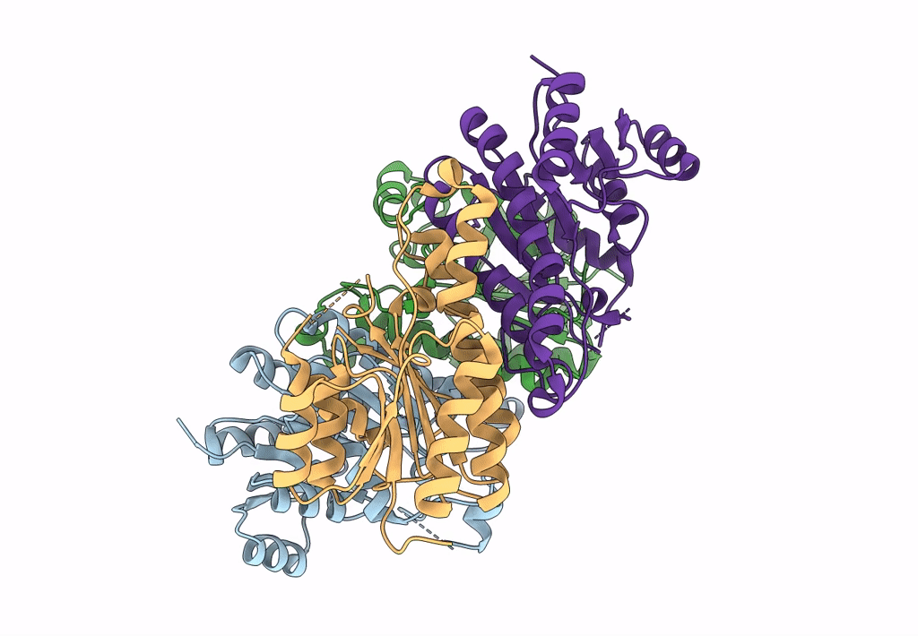 8HQP image