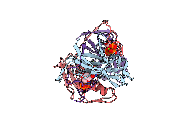 8HRV image