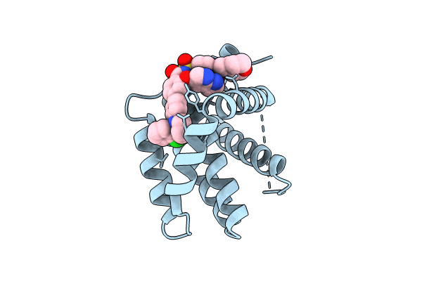 8HTR image