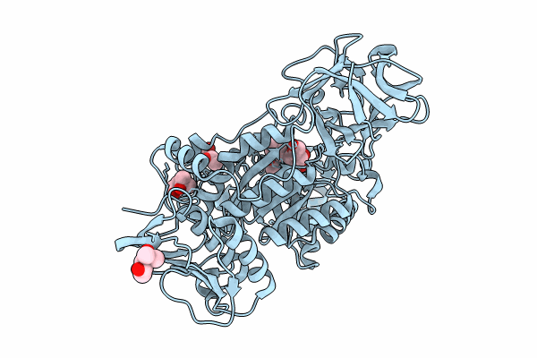 8HVC image