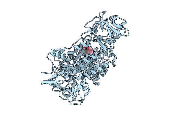 8HVD image