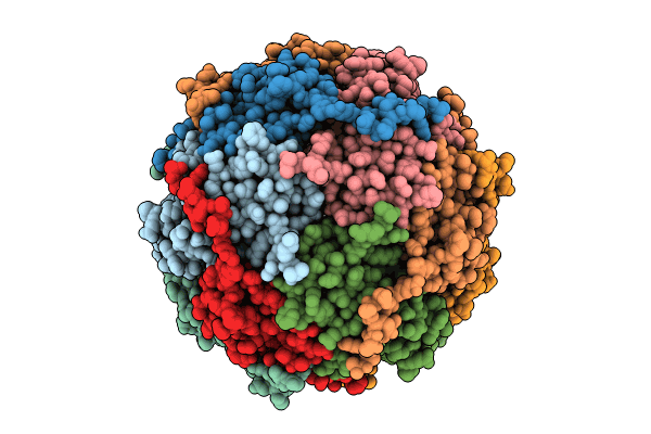 8HX0 image