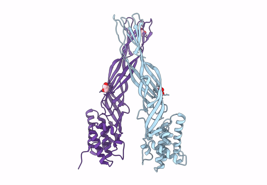8HX3 image