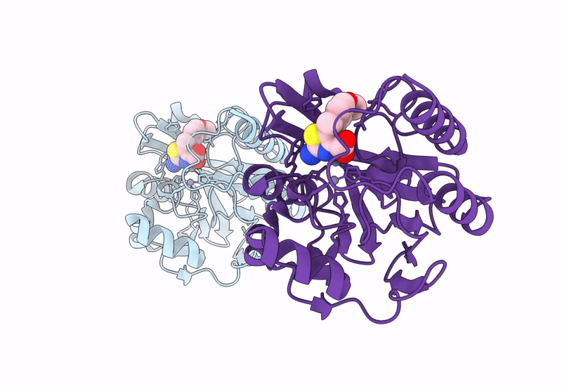 8HX5 image