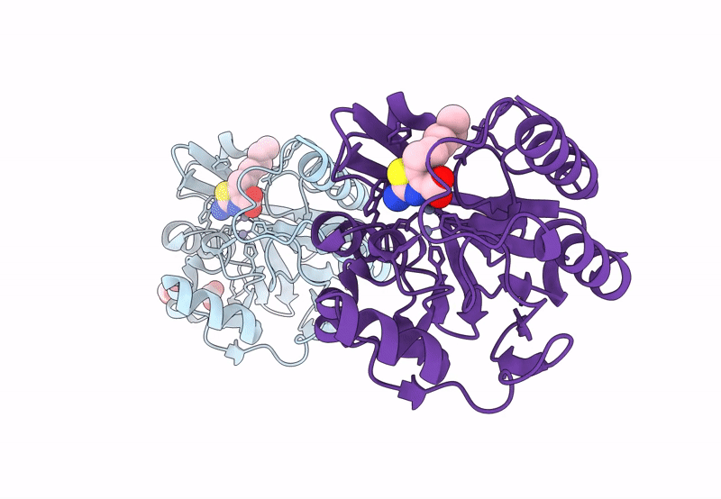 8HXW image