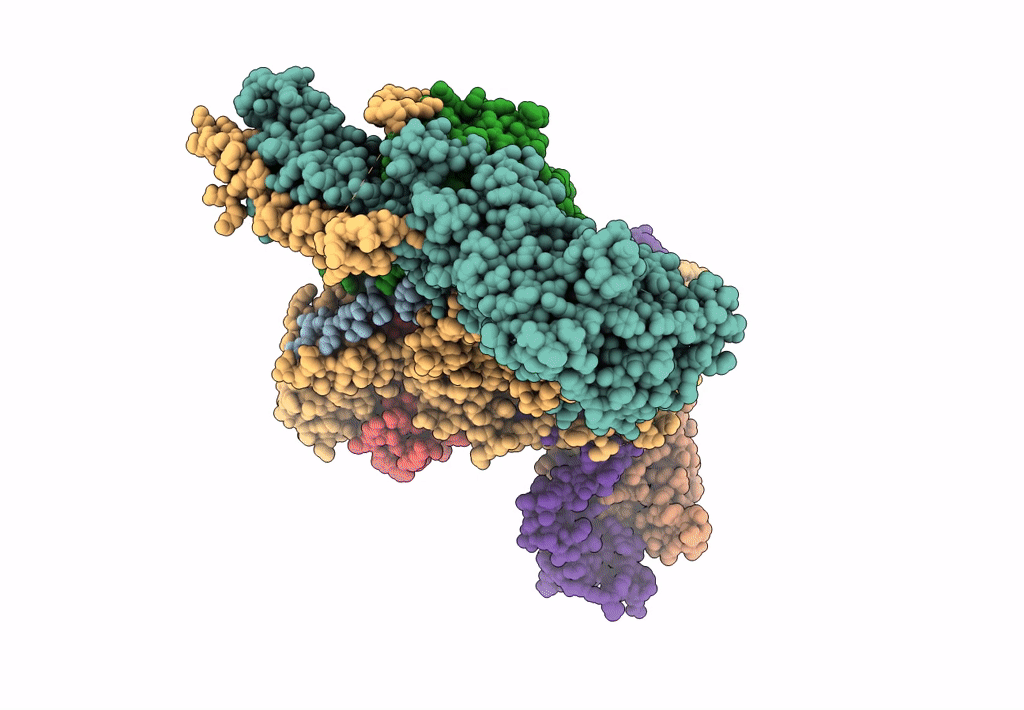 8HXX image