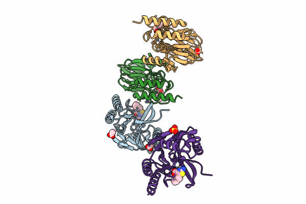8HYB image