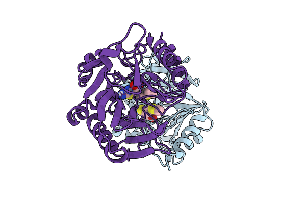 8HYC image