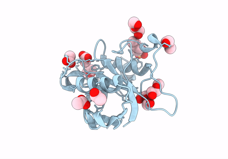 8HYG image