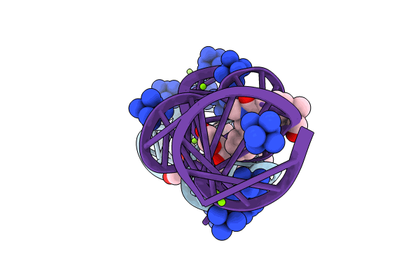 8HZK image
