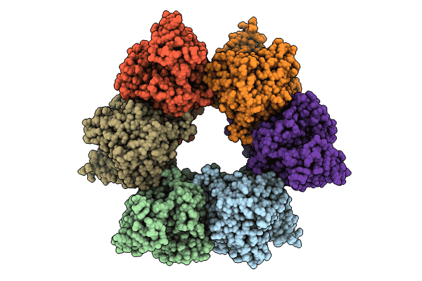 8HZX image