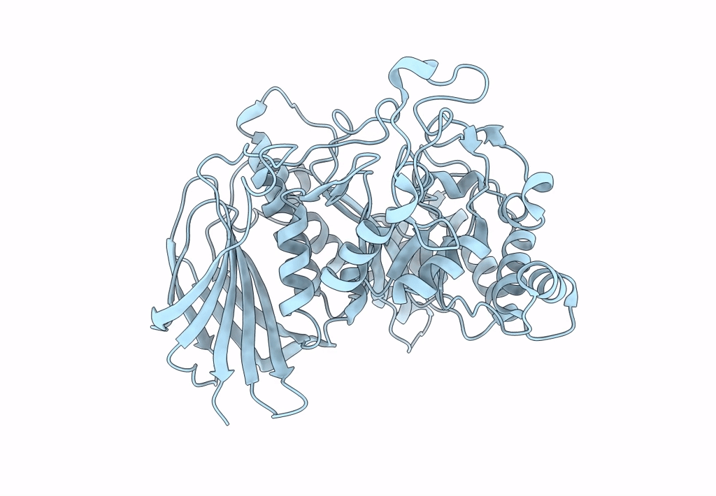 8I0A image
