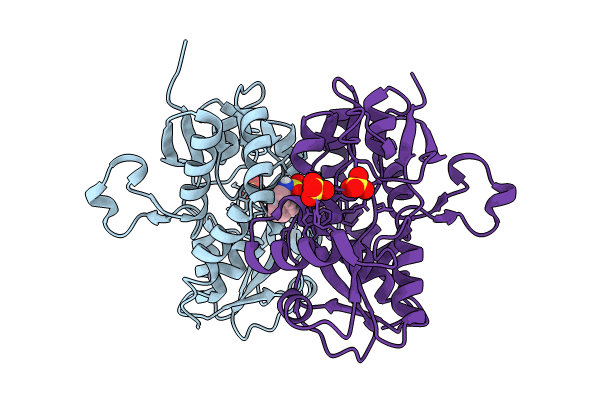 8I0B image