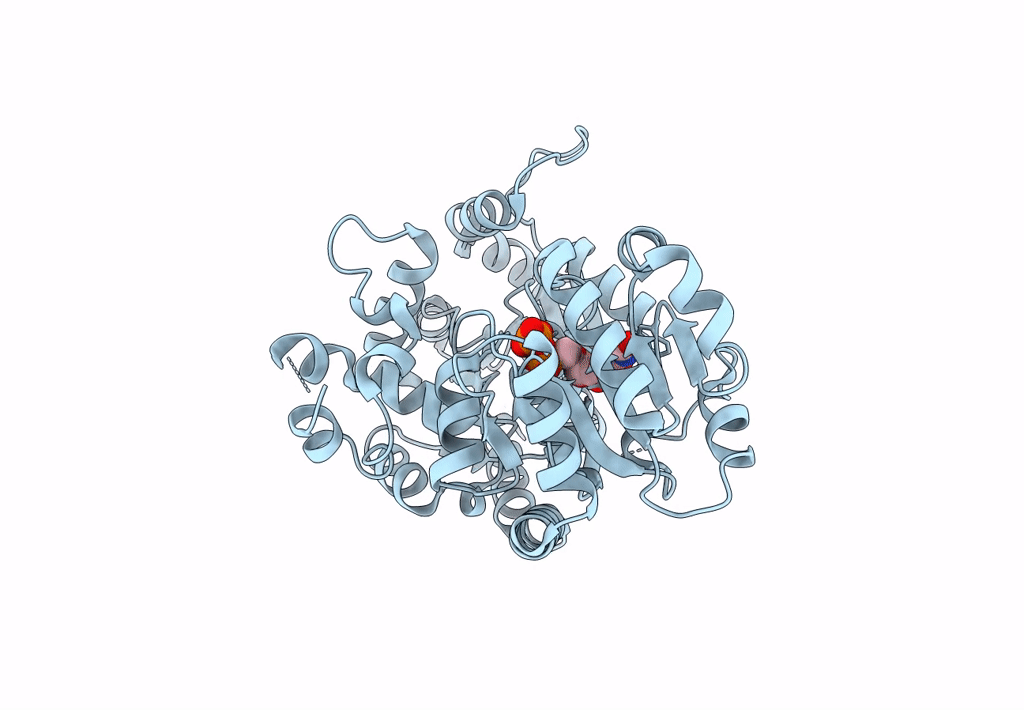 8I0E image