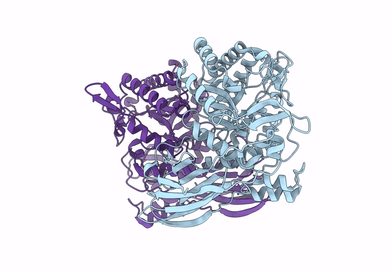 8I0J image