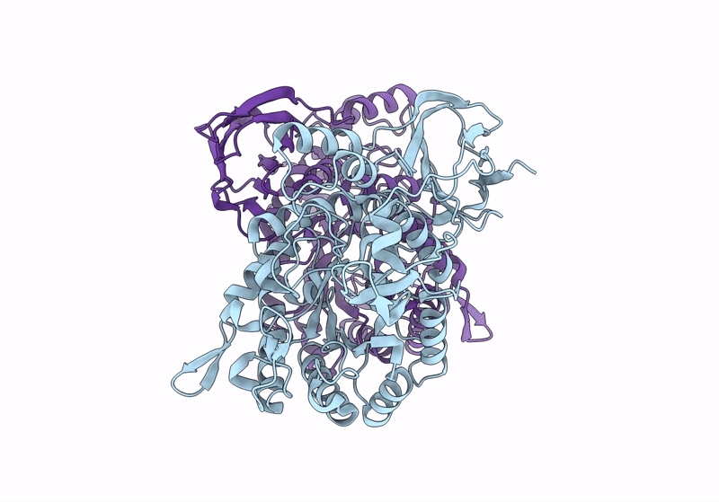 8I0X image