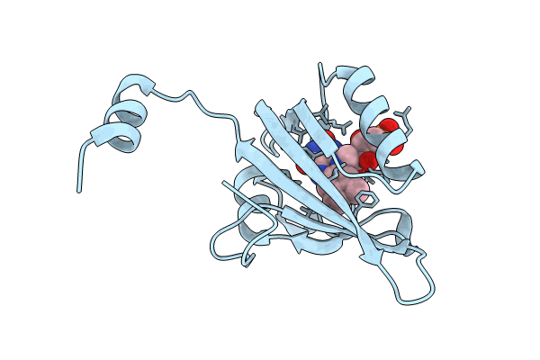 8I11 image