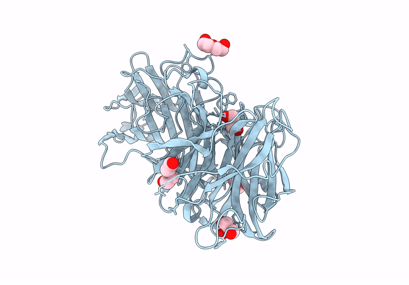 8I12 image
