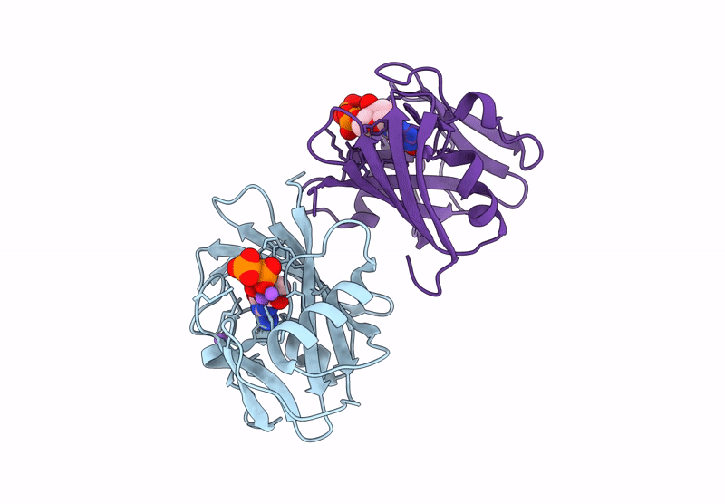 8I19 image