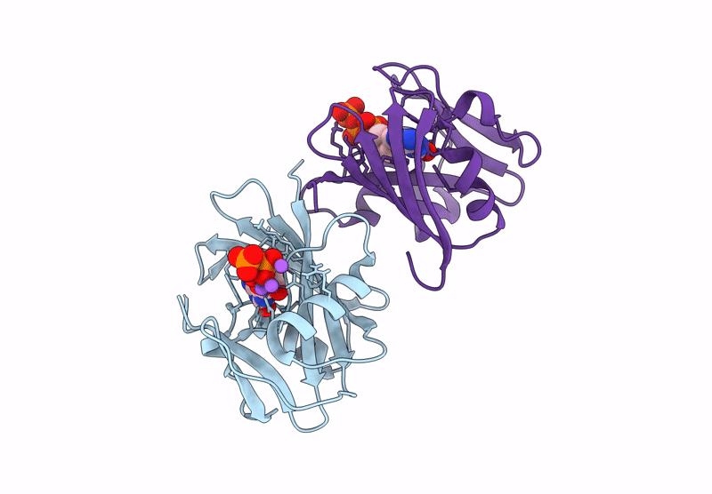 8I1D image