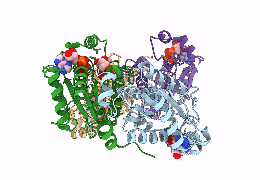 8I1N image