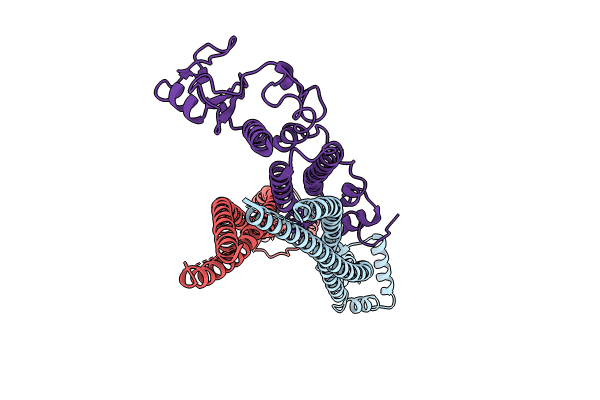 8I21 image