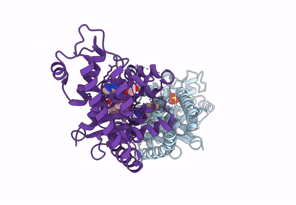 8I27 image