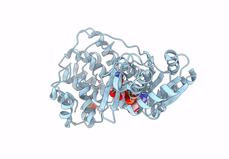 8I29 image