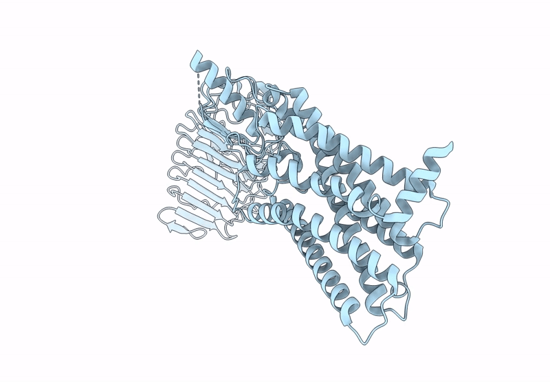 8I2H image
