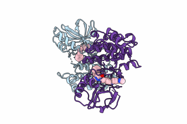 8I2N image
