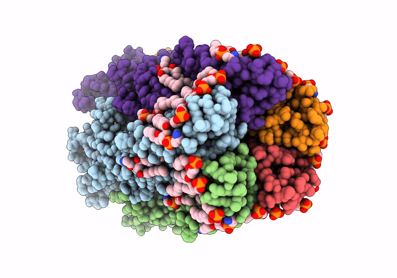 8I47 image