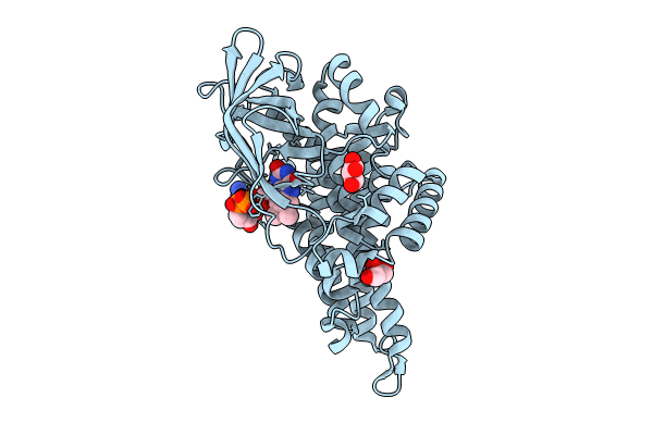 8I4P image