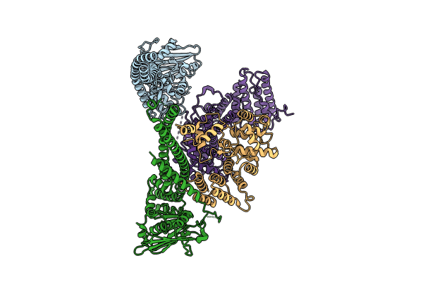 8I4W image