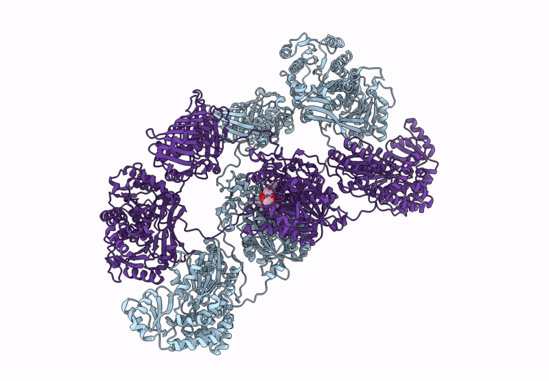 8I4Y image