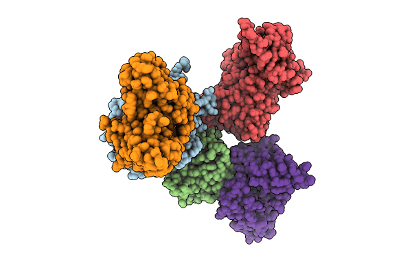 8I5L image