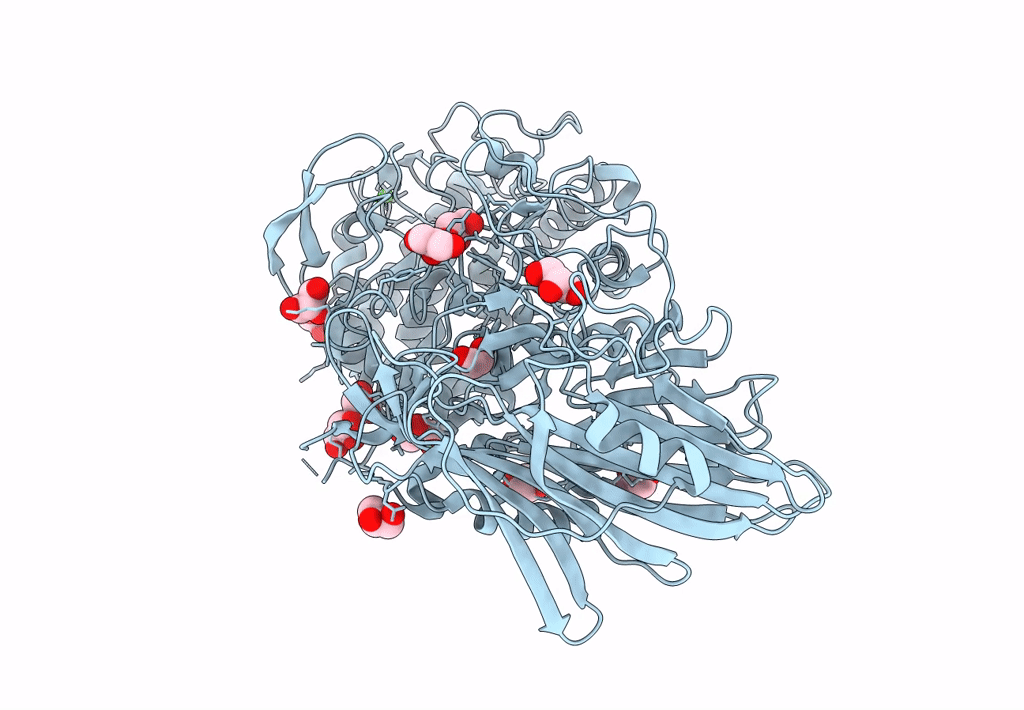 8I5R image