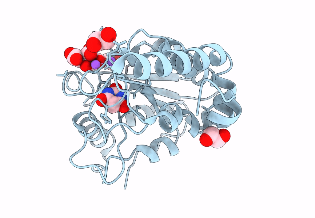 8I61 image