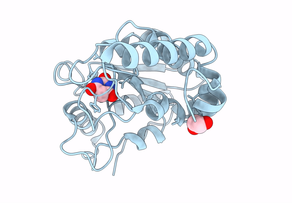 8I62 image